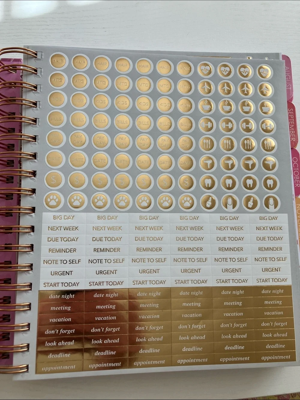 The Creative Expert 17 Month Planner -  August 2026 - December 2027 (NWT)